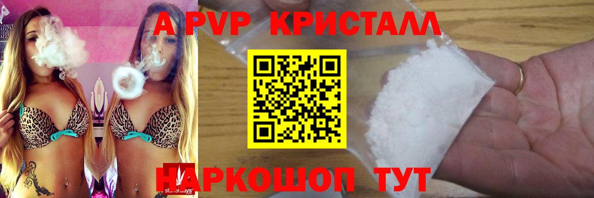 Альфа ПВП СК КРИС  где купить   Михайловск  Вход с VPN 