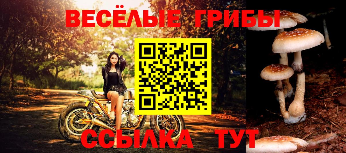 Галлюциногенные грибы прущие грибы Михайловск